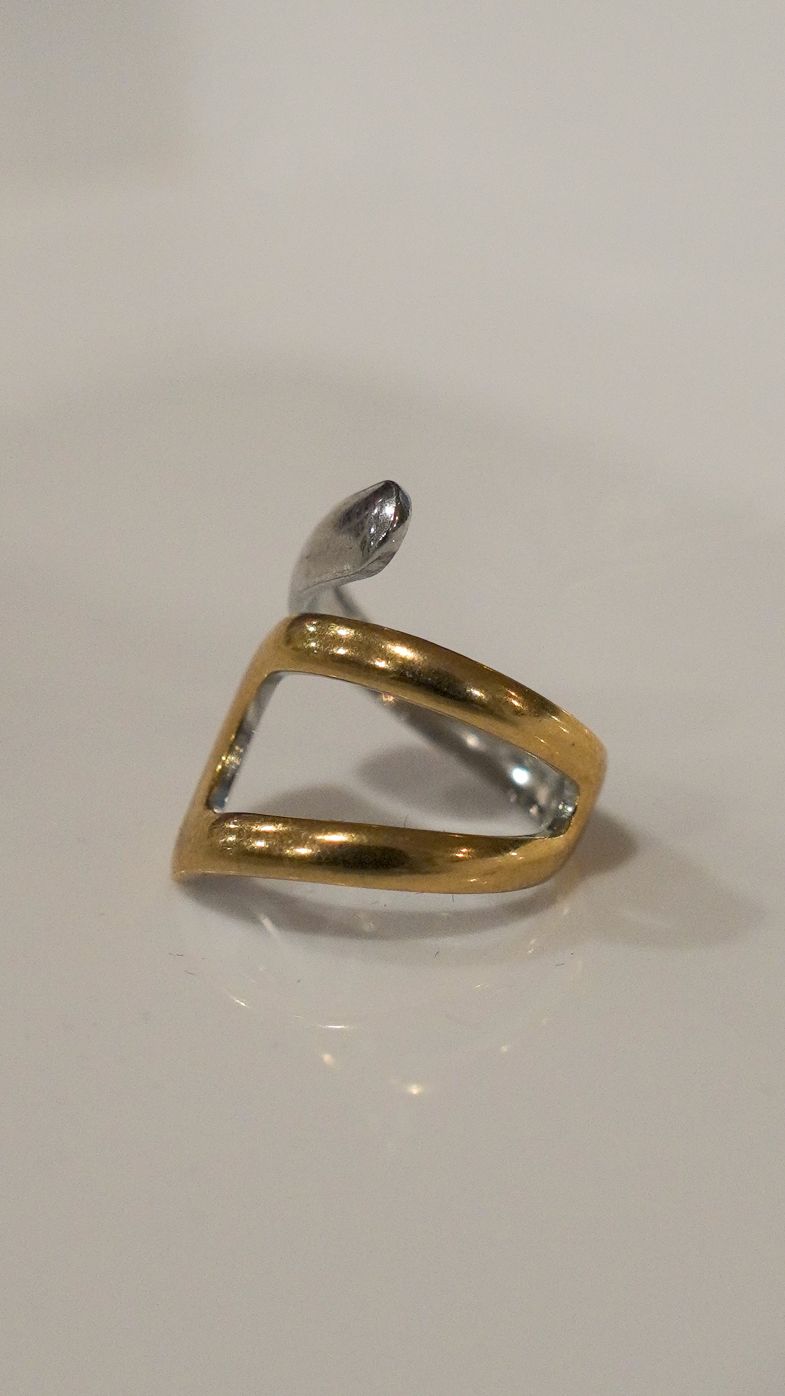 The Gemini Ring